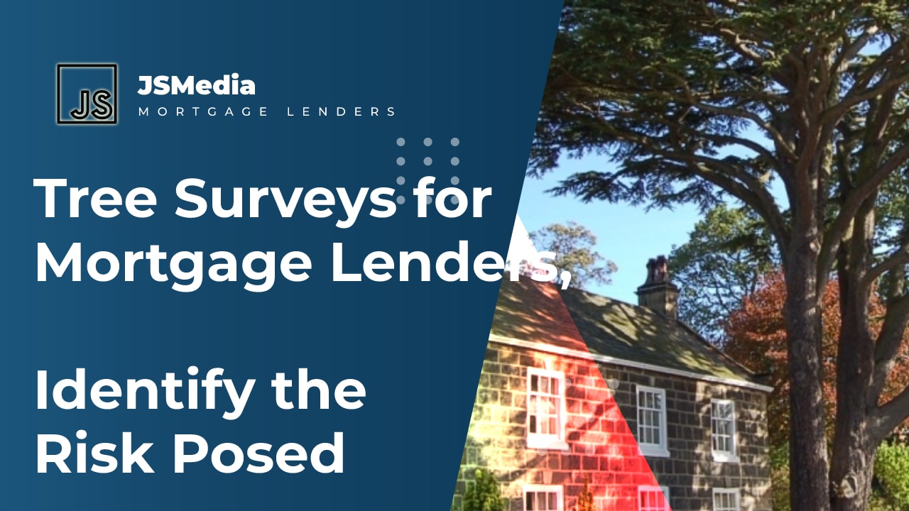 Tree Surveys for Mortgage Lenders, Identify the Risk Posed